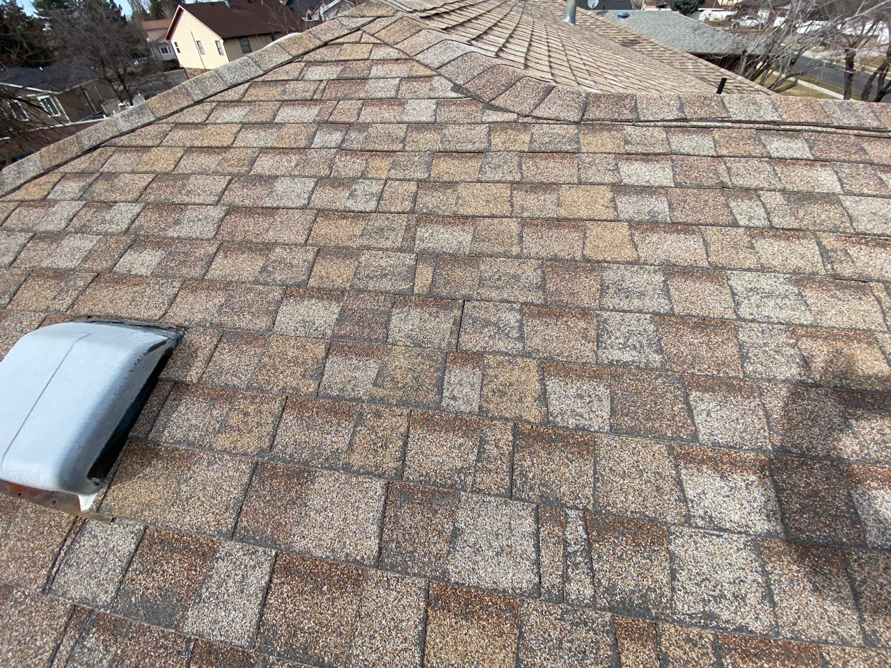Shingles look fine from ground